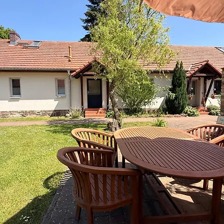 Svanur Am Islandpferdehof Gut Birkholz * Muenchehofe (Dahme-Spreewald)